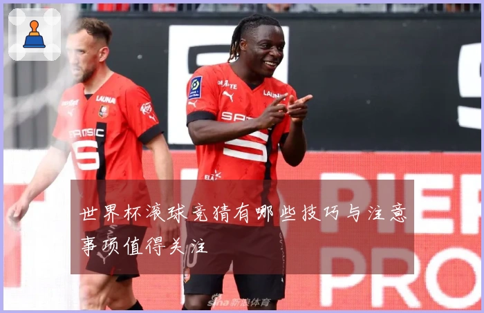 世界杯滚球竞猜有哪些技巧与注意事项值得关注