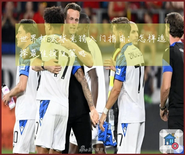 世界杯买球竞猜入门指南：怎样选择最佳投注策略