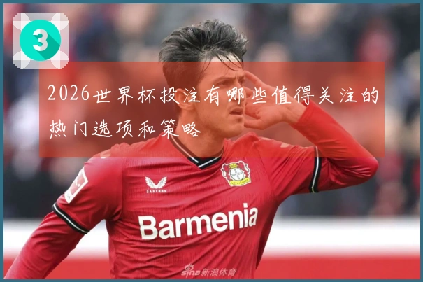 2026世界杯投注有哪些值得关注的热门选项和策略