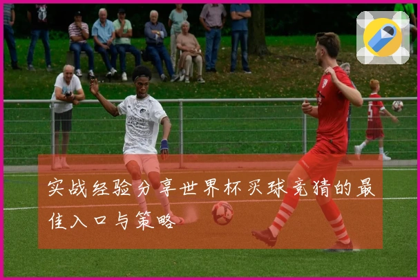 实战经验分享世界杯买球竞猜的最佳入口与策略