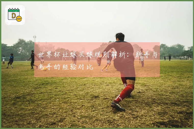 世界杯让球买球规则解析：新手与老手的经验对比