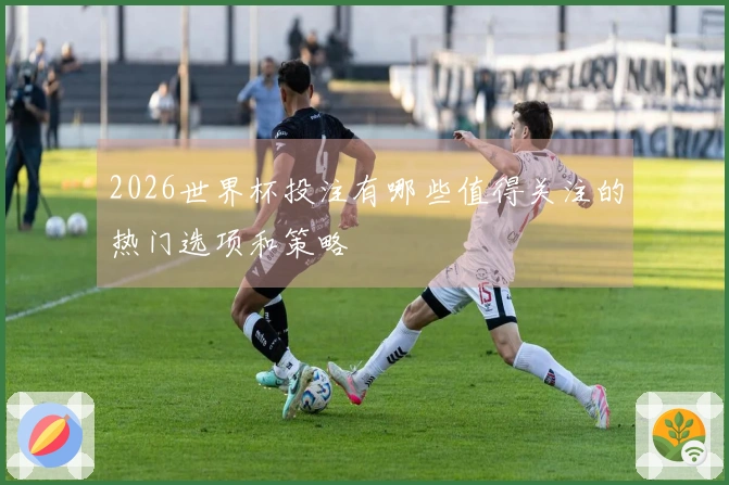 2026世界杯投注有哪些值得关注的热门选项和策略